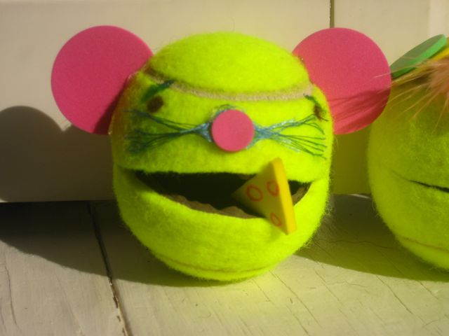 Mouse head